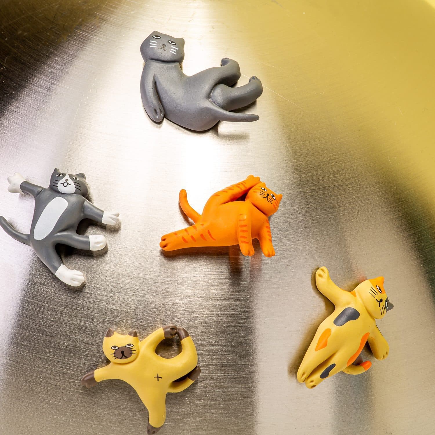 Cat Yoga Magneten (Set von 5)