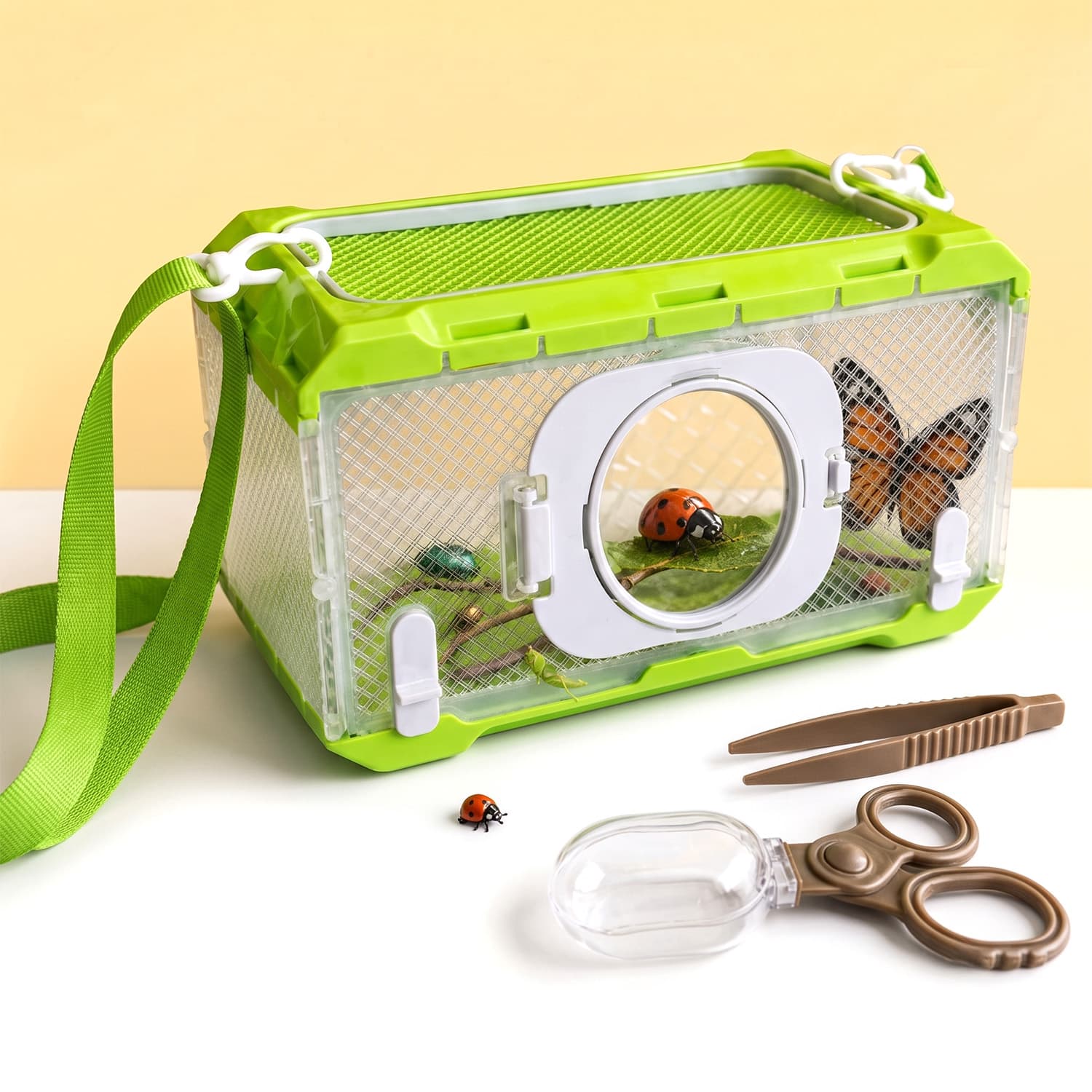 Foldable Insect Cage