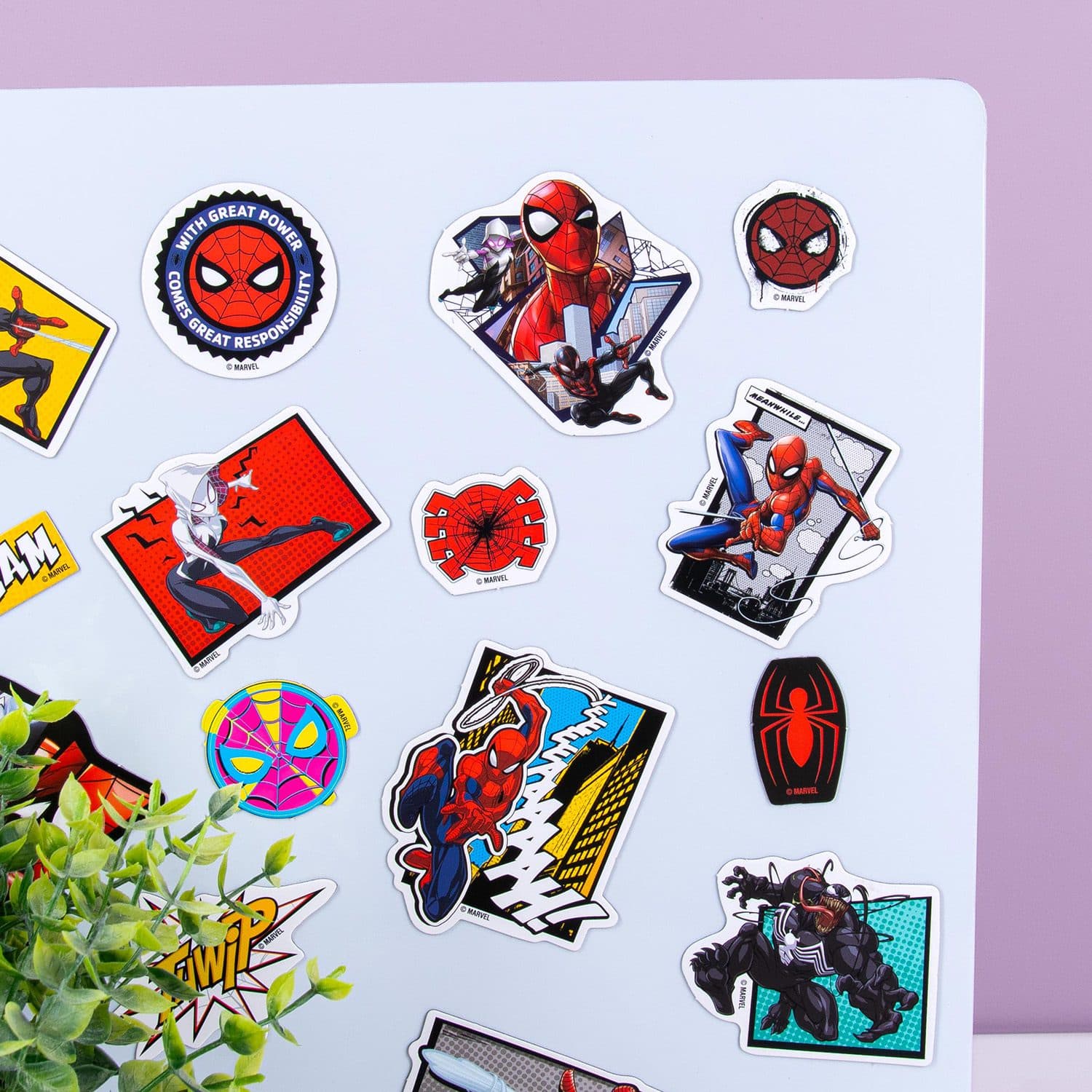 Spiderman Magnete (Set von 24)