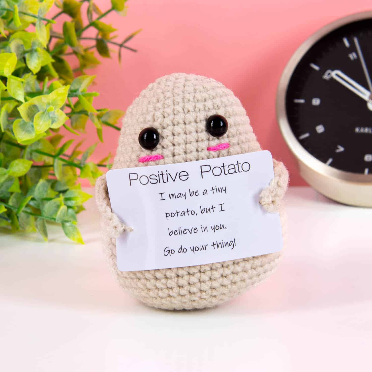 Positive Potato – Klein