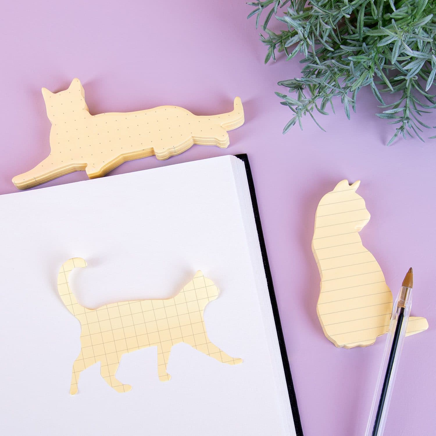 Katzen Sticky Notes (Set von 3)