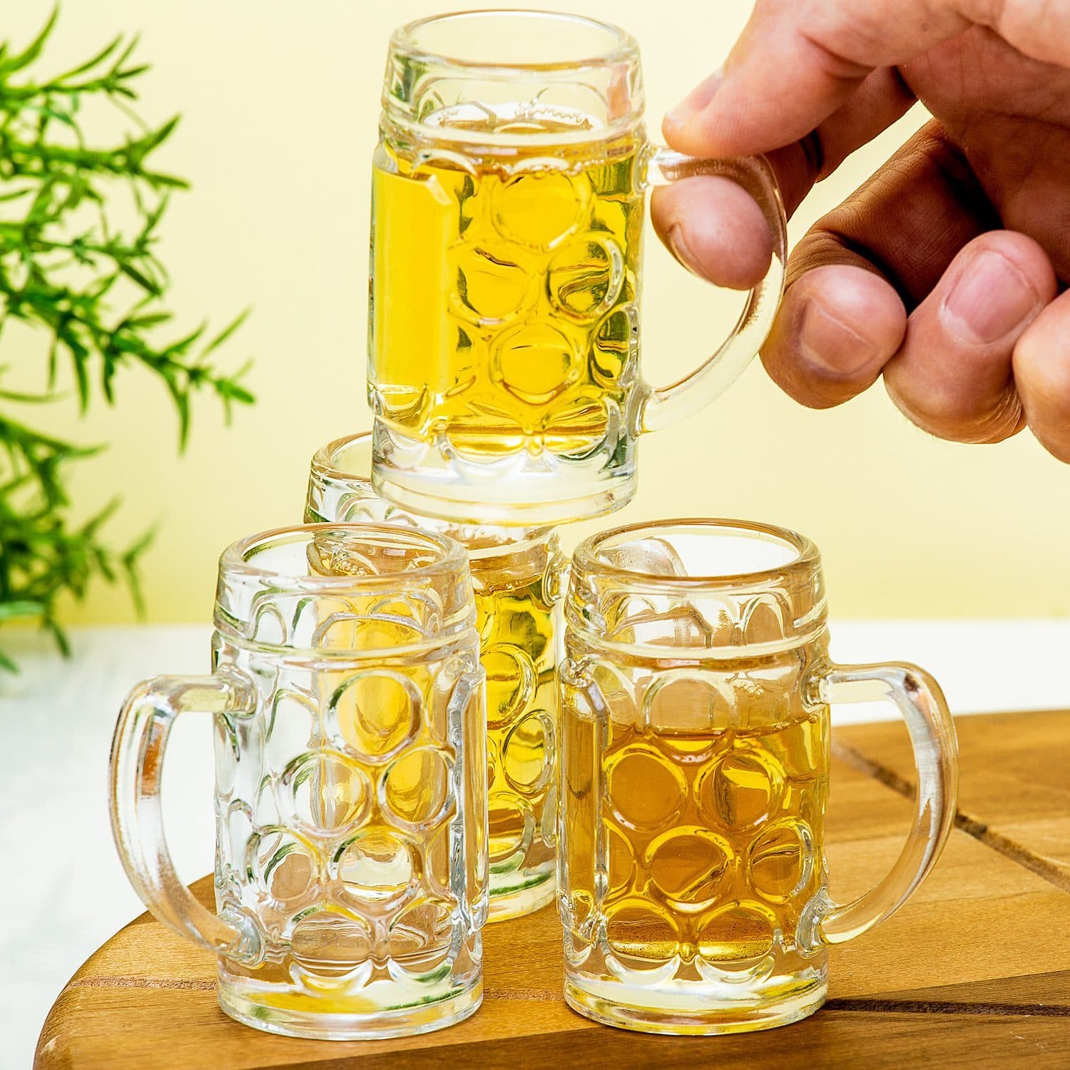 Bierkrug Schnapsgläser (4er-Set)