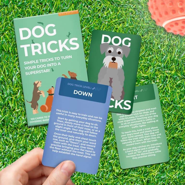 Dog Tricks Karten