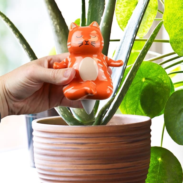Yoga-Katze Wasserspender