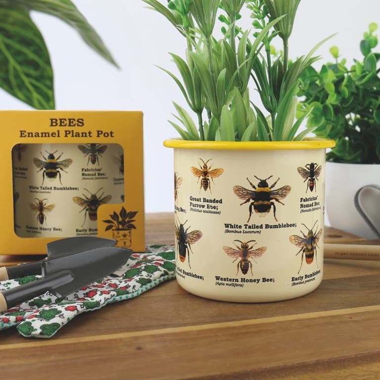 Blumentopf mit Bienen