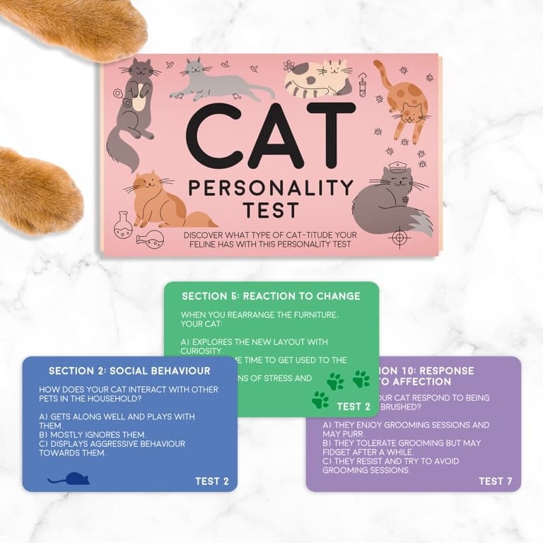Katzen-Persönlichkeitstest