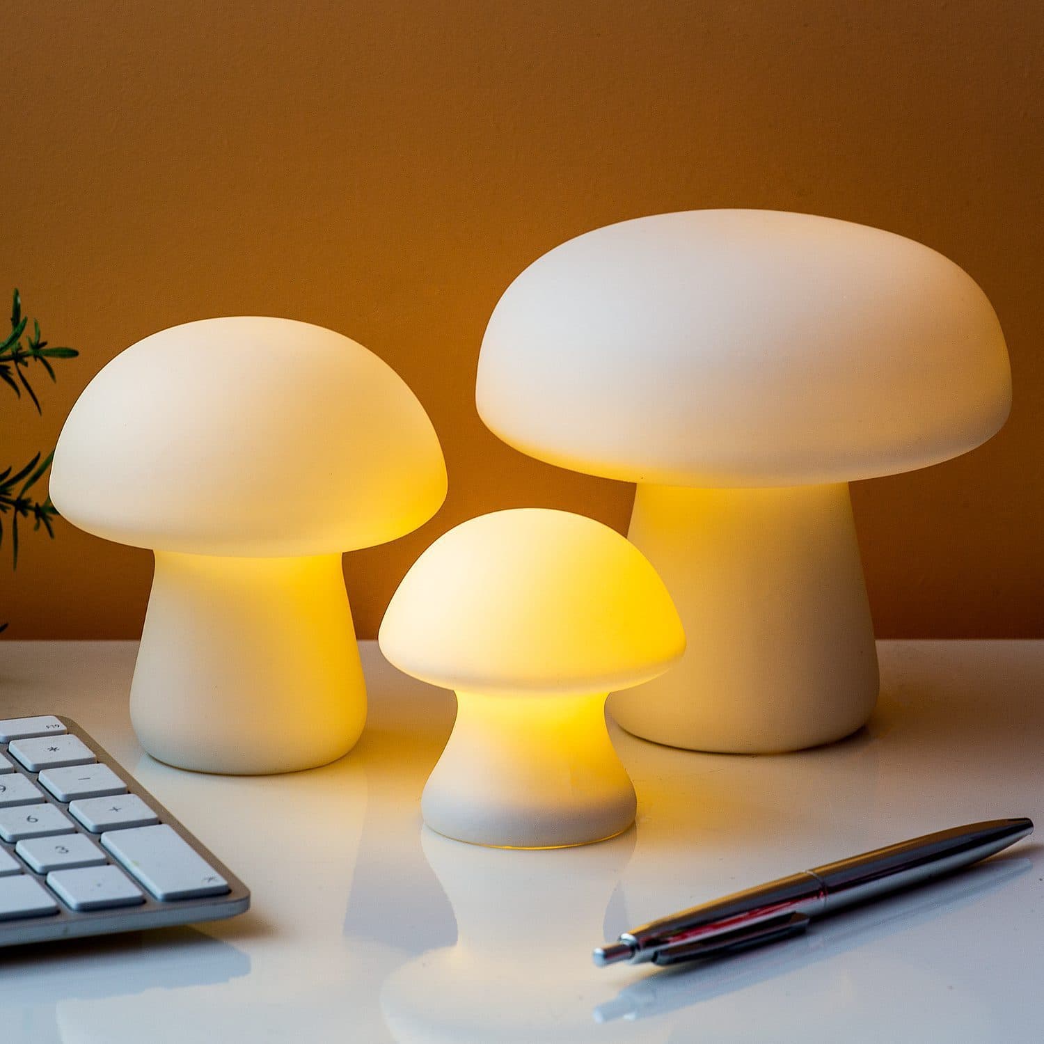 Pilzlampe