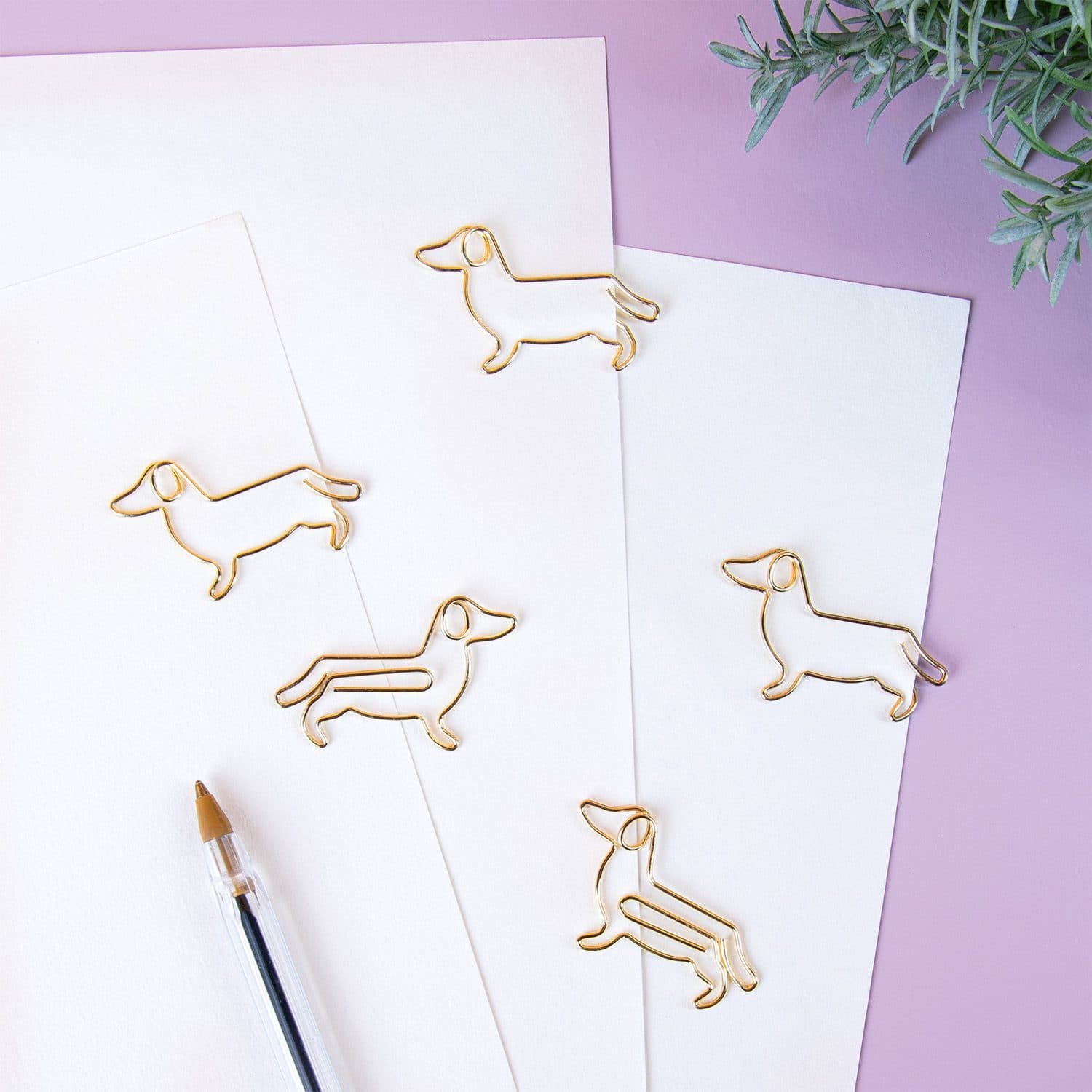 Haustier Büroklammern (Set von 5) – Hund