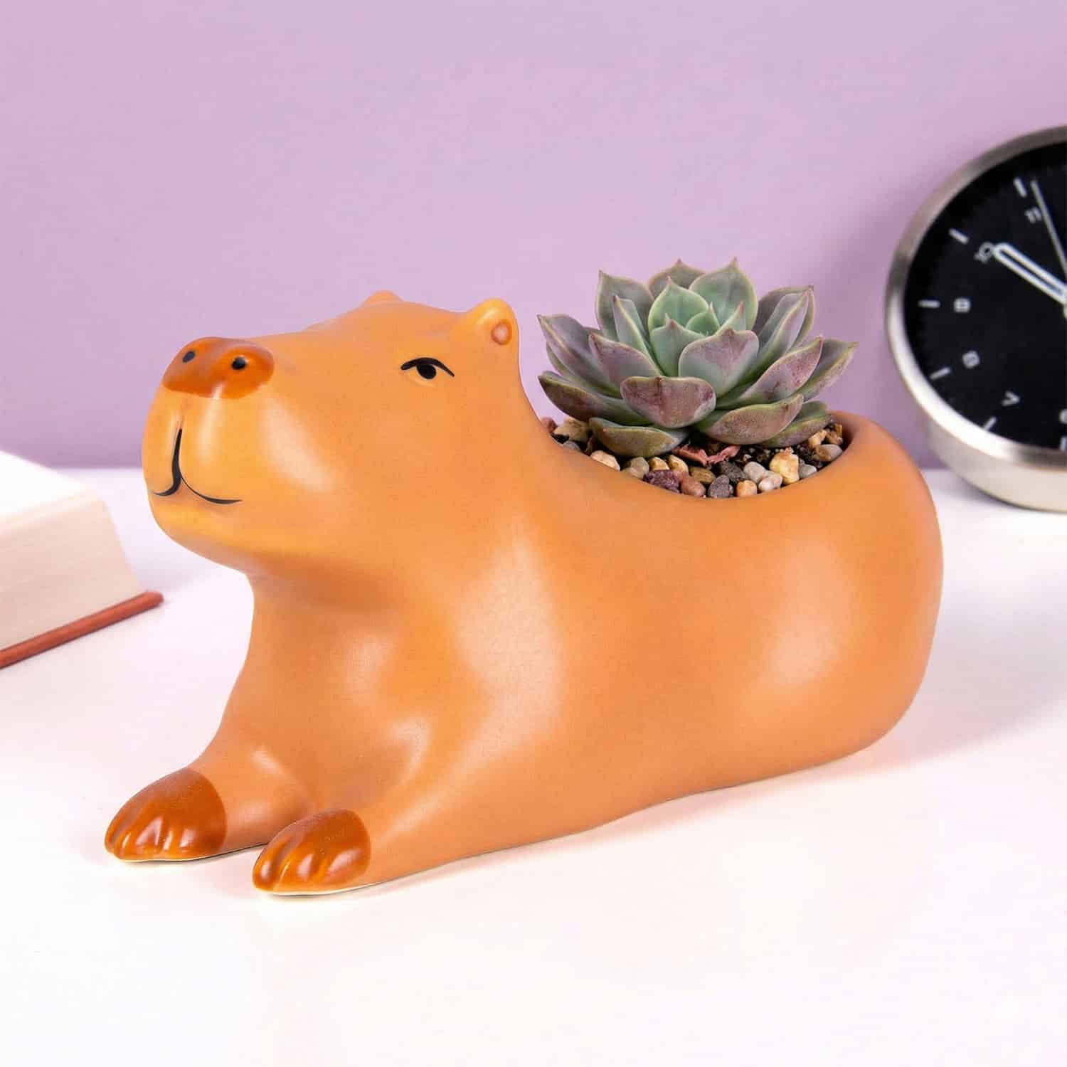 Capibara Blumentopf