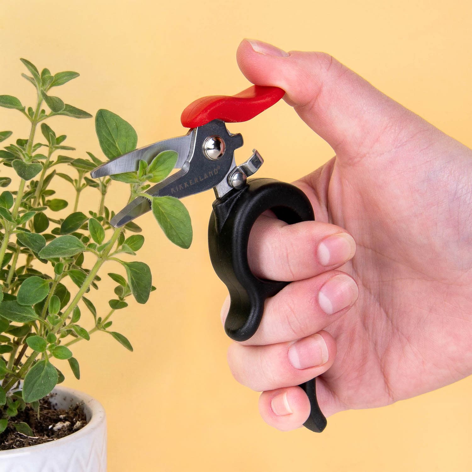 Specht Gartenschere