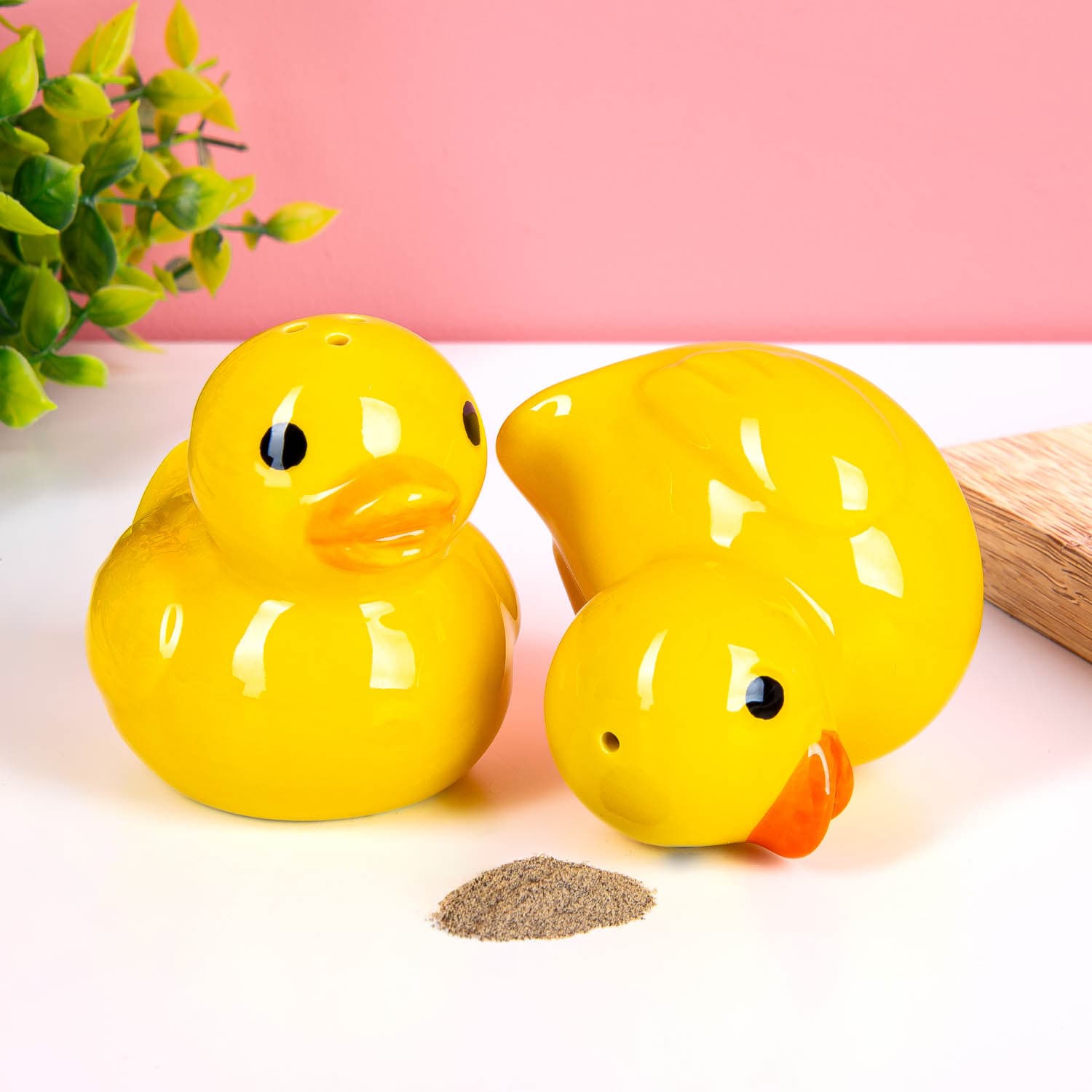 Badeend peper- en zoutstel