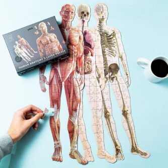 Puzzle Anatomie des Menschen (303 Teile)