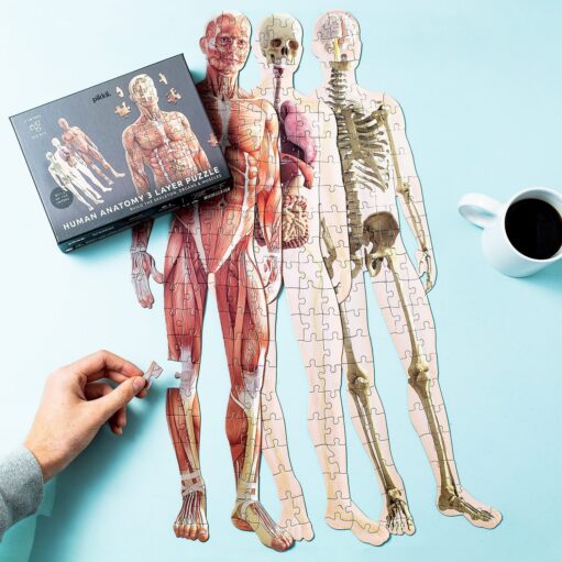 Puzzle Anatomie des Menschen (303 Teile)
