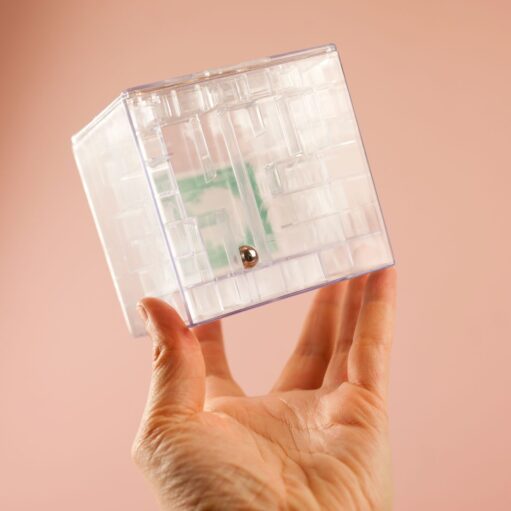 Money Maze Puzzle Spardose