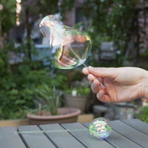 Regenbogenspinner