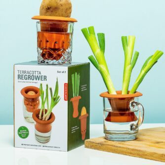 Terrakotta-Nachgärtner für Gemüse (2er-Set)