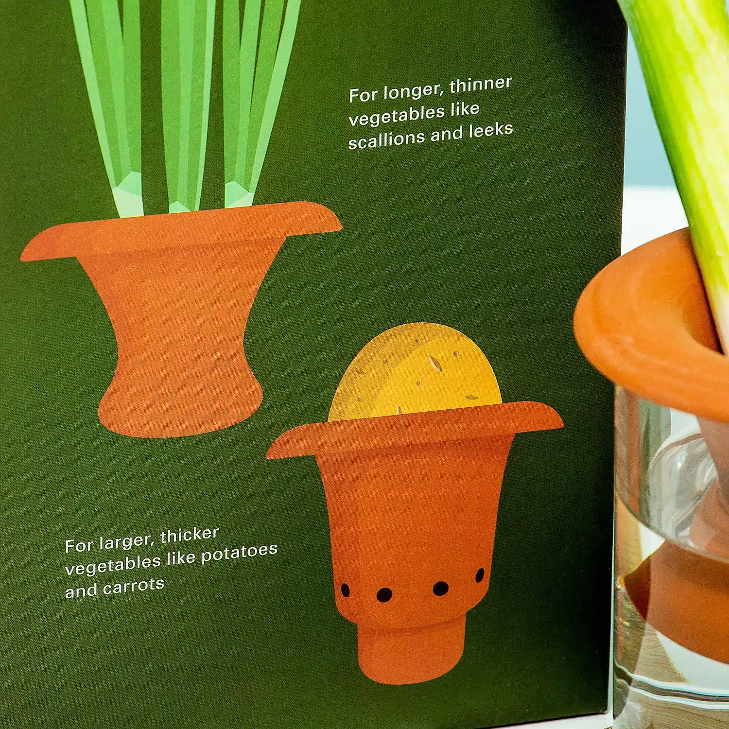 Terrakotta-Nachgärtner für Gemüse (2er-Set)