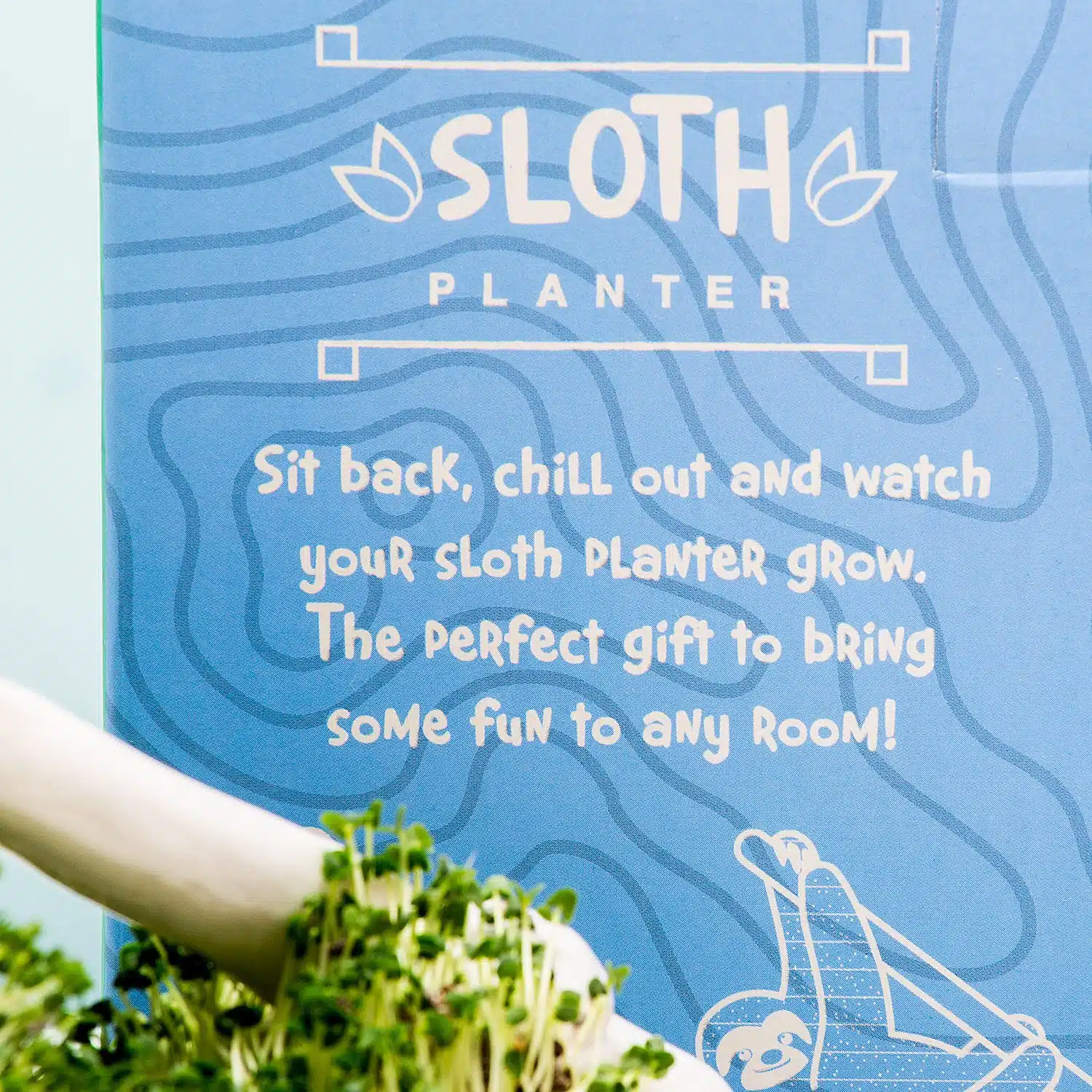 Faultier-Blumentopf mit Samen