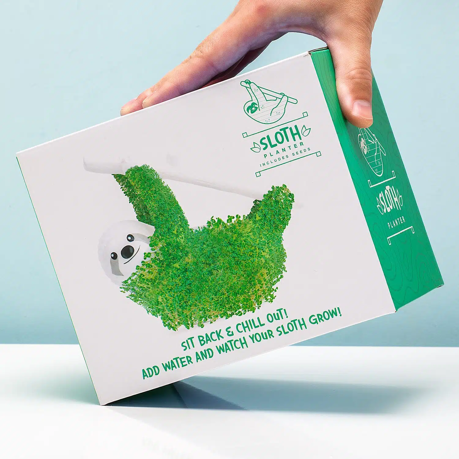 Faultier-Blumentopf mit Samen