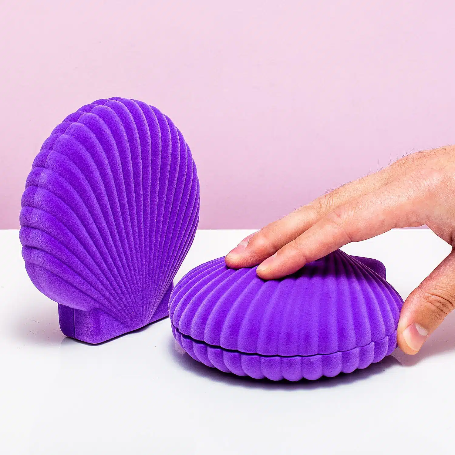 Muschel Schmuckschatulle