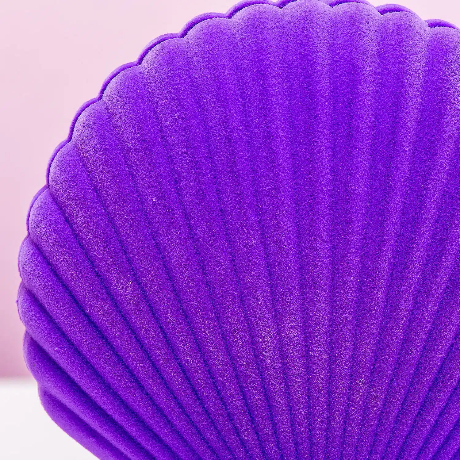 Muschel Schmuckschatulle