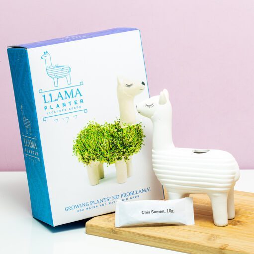 Lama-Blumentopf mit Samen