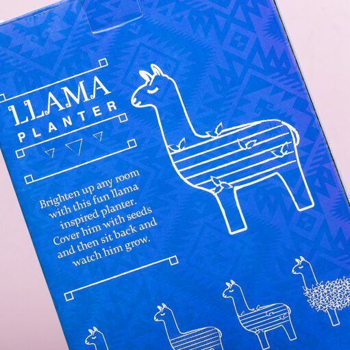Lama-Blumentopf mit Samen