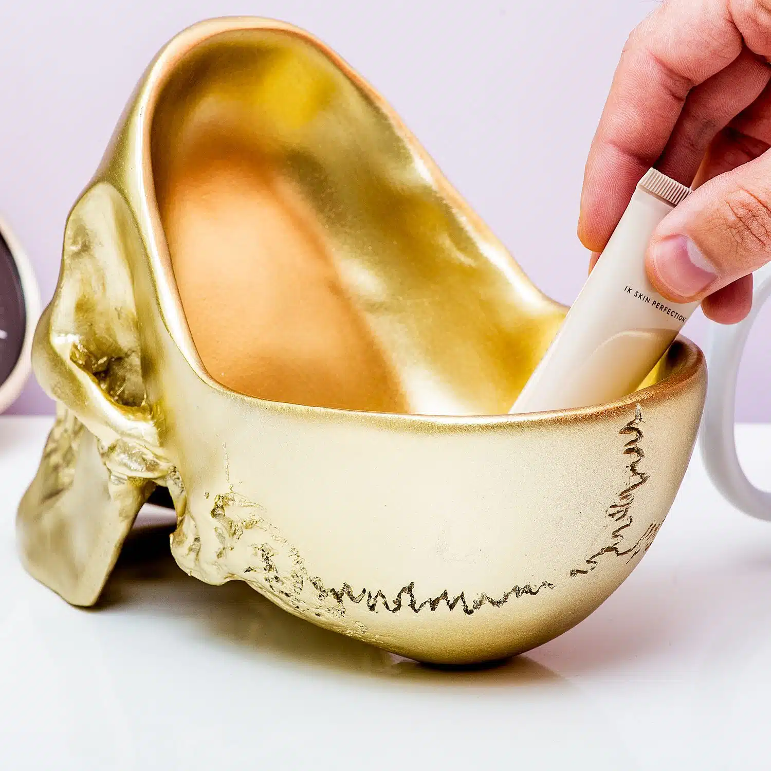 Schädel-Aufbewahrungsbehälter