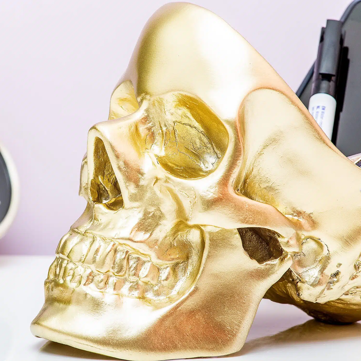 Schädel-Aufbewahrungsbehälter