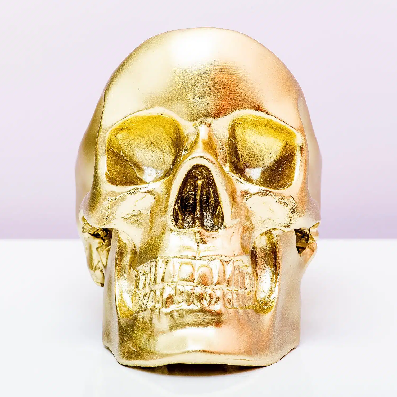 Schädel-Aufbewahrungsbehälter