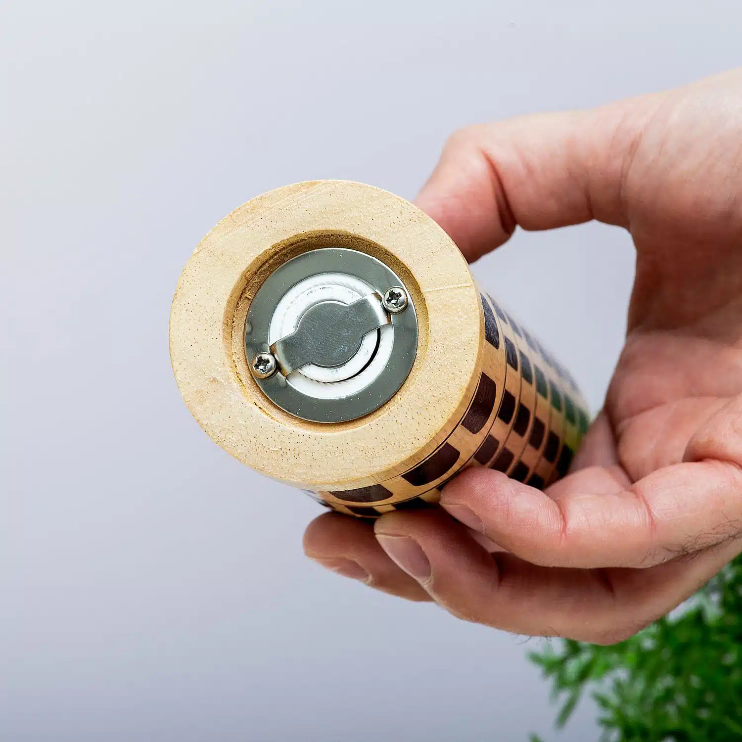 Turm der Pfeffermühle von Pisa