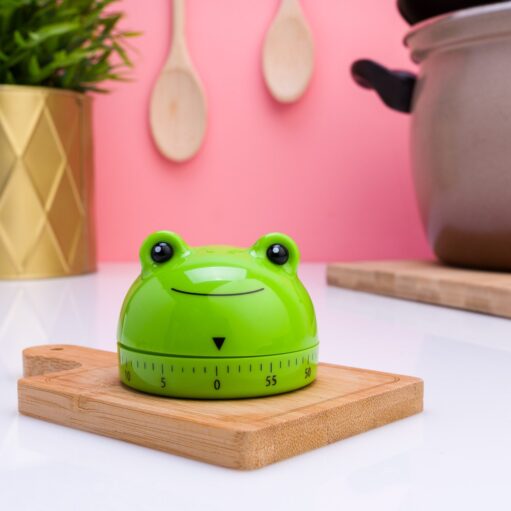 Frosch-Küchentimer