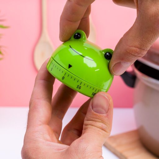 Frosch-Küchentimer