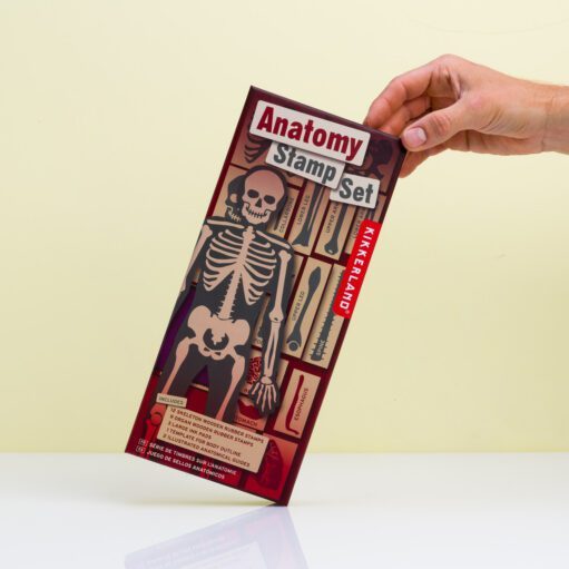 Anatomie-Stempelset