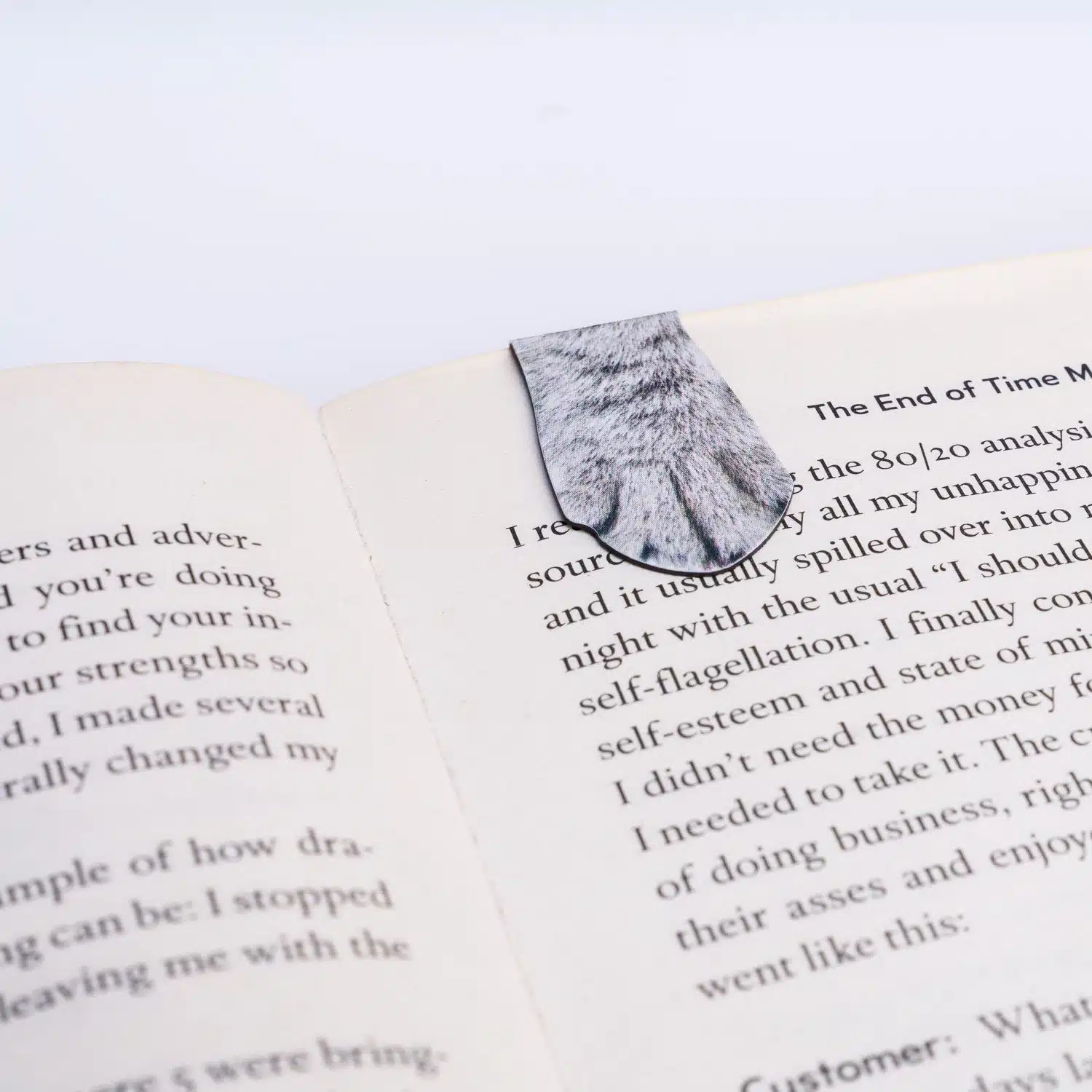 Magnetisches Lesezeichen Katze (4er-Set)