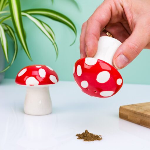 Pilz-Salz- und Pfefferstreuer
