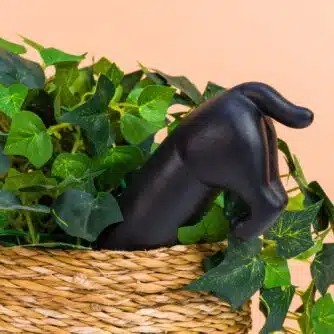 Hund Bewässerungssystem