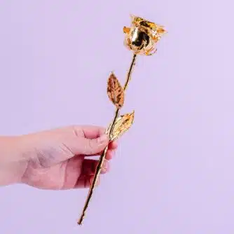24 Karat Goldrose