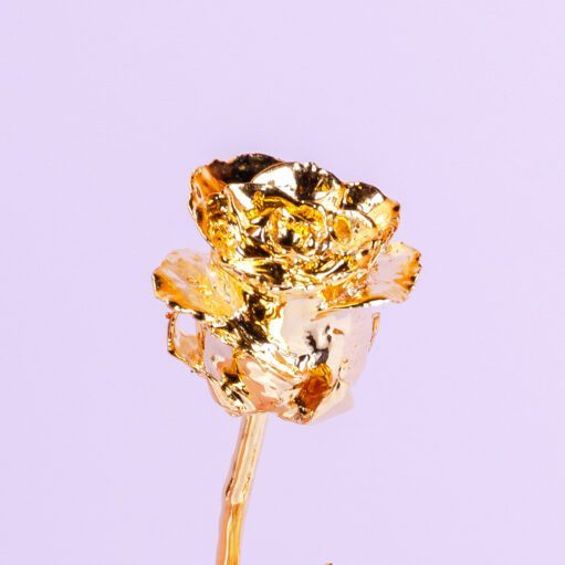 24 Karat Goldrose