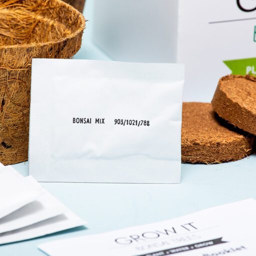 Set zum Züchten eines eigenen Bonsai-Baums