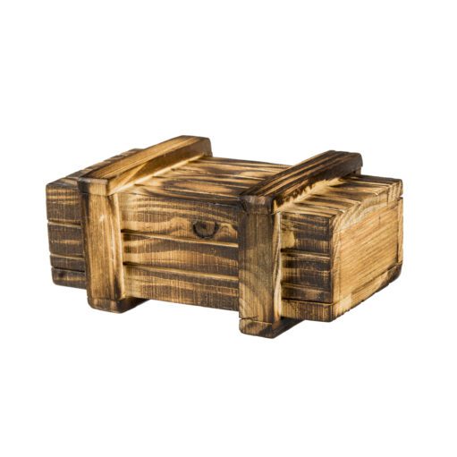 Magische IQ-Box