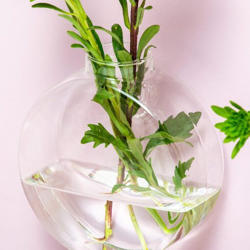 Glas Wandvasen