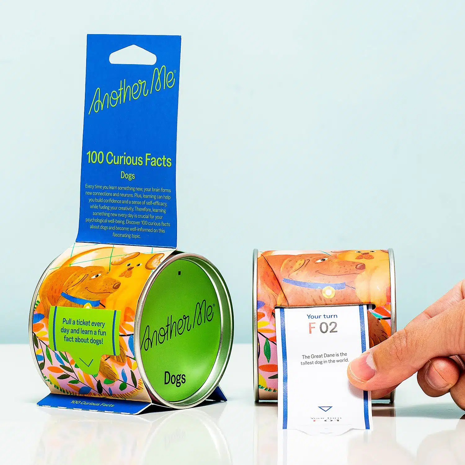 100 Neugierige Fakten