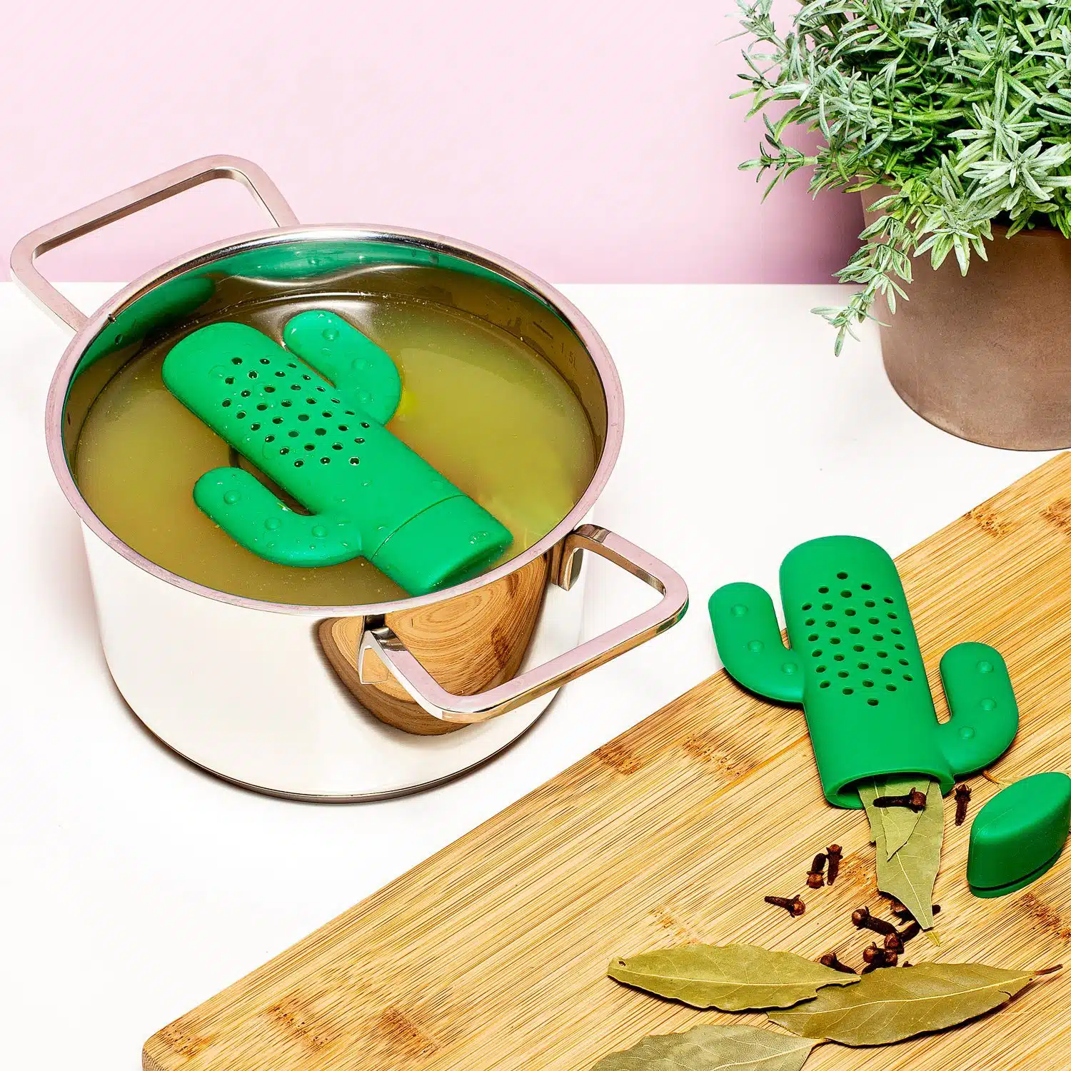 Cactus Kräuterinfuser