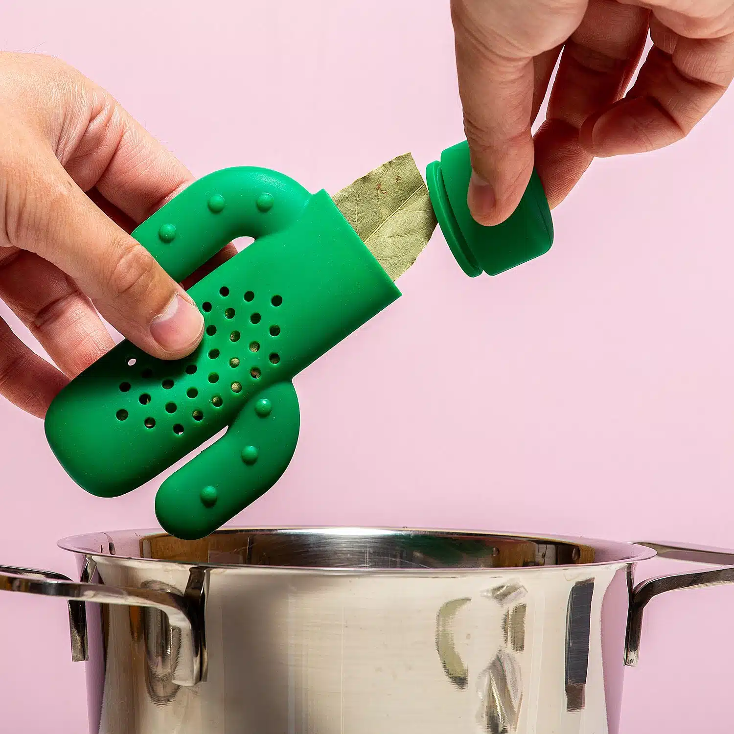 Cactus Kräuterinfuser