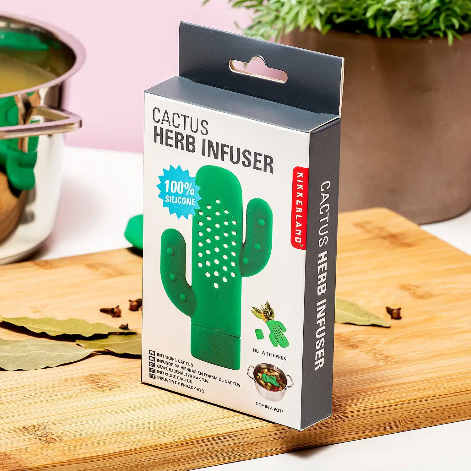 Cactus Kräuterinfuser