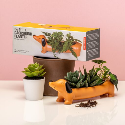 Haustier-Blumentopf