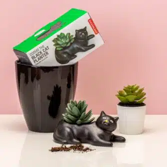 Haustier-Blumentopf - Katze