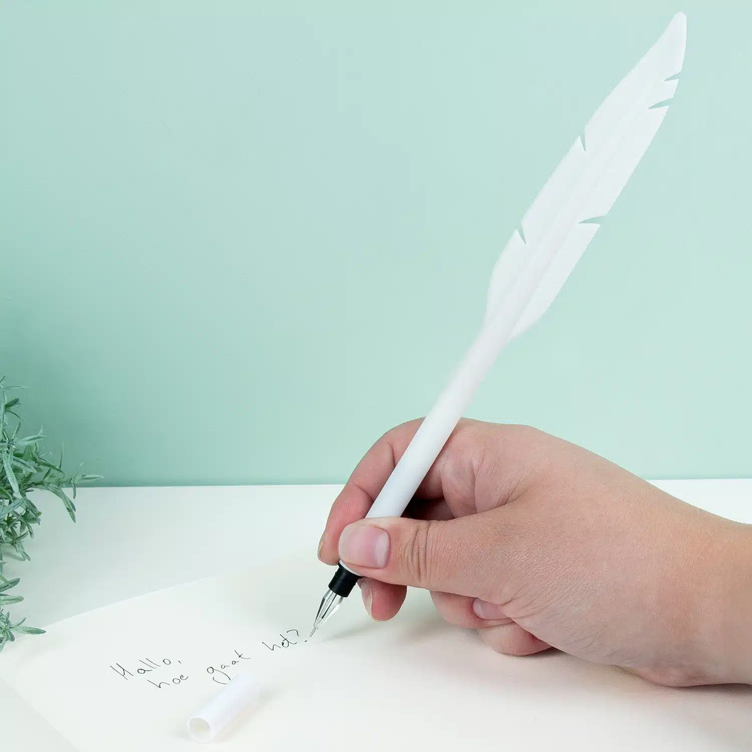 Feder Stift (sortiert)