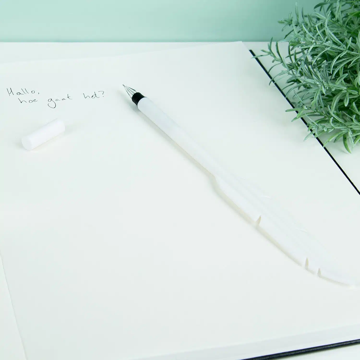 Feder Stift (sortiert)